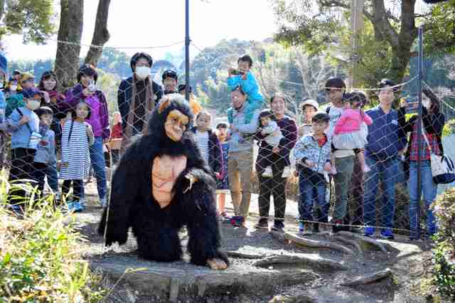 動物園の捕獲訓練がみたい🐻