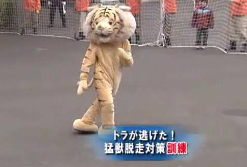 動物園の捕獲訓練がみたい🐻