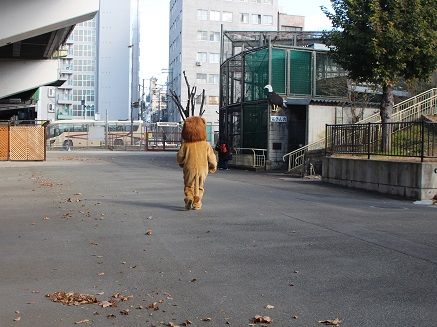 動物園の捕獲訓練がみたい🐻
