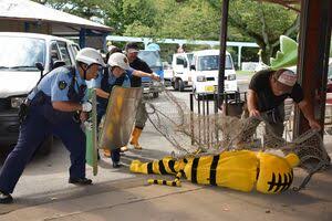 動物園の捕獲訓練がみたい🐻