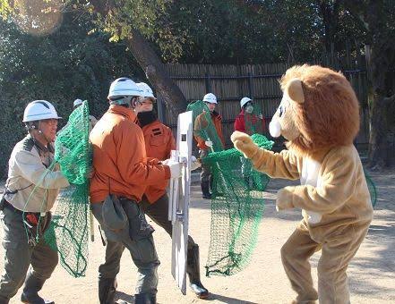 動物園の捕獲訓練がみたい🐻