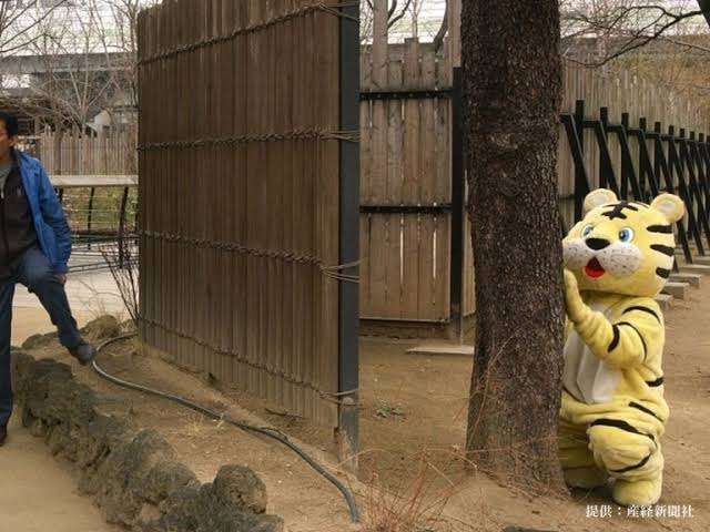 動物園の捕獲訓練がみたい🐻
