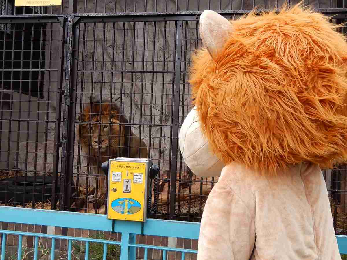 動物園の捕獲訓練がみたい🐻