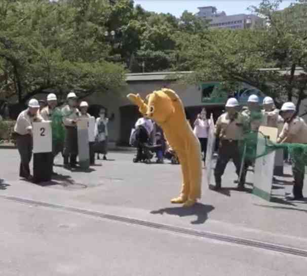 動物園の捕獲訓練がみたい🐻