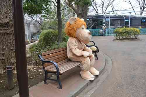 動物園の捕獲訓練がみたい🐻