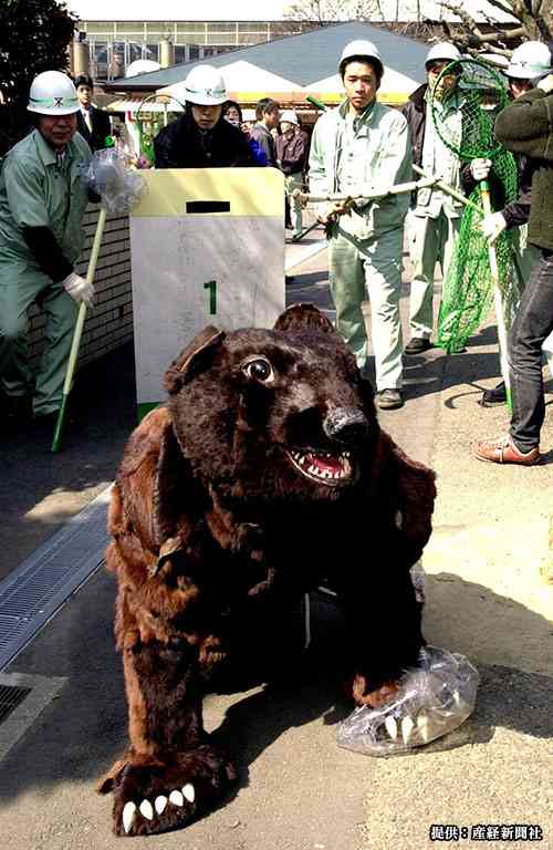 動物園の捕獲訓練がみたい🐻