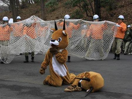 動物園の捕獲訓練がみたい🐻