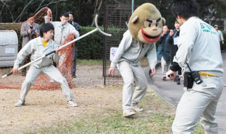動物園の捕獲訓練がみたい🐻