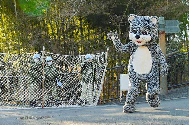 動物園の捕獲訓練がみたい🐻