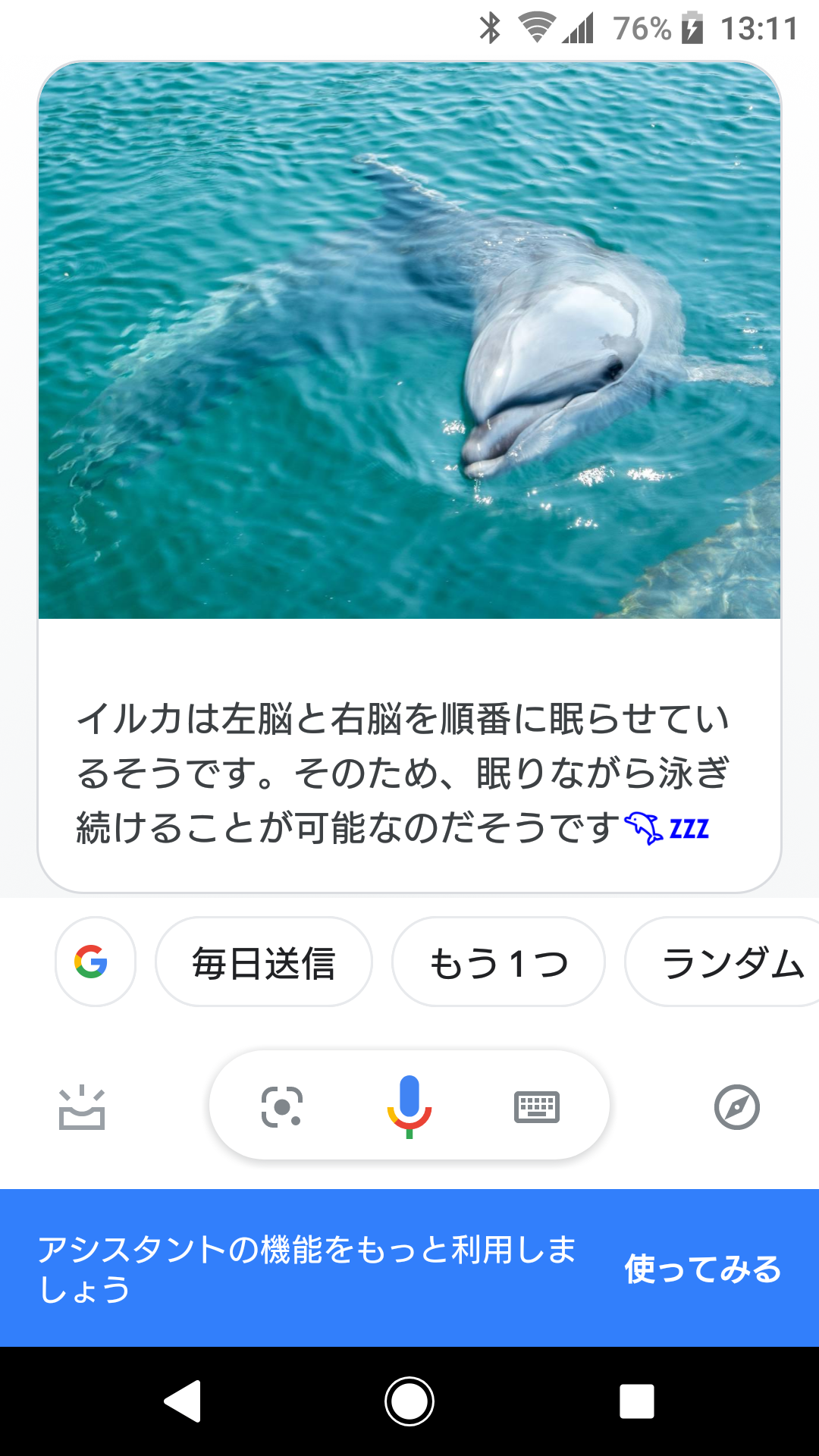 【暇な人限定】アレクサかGoogleになんか話してと言ったらなんて返事きたか書き込むトピ