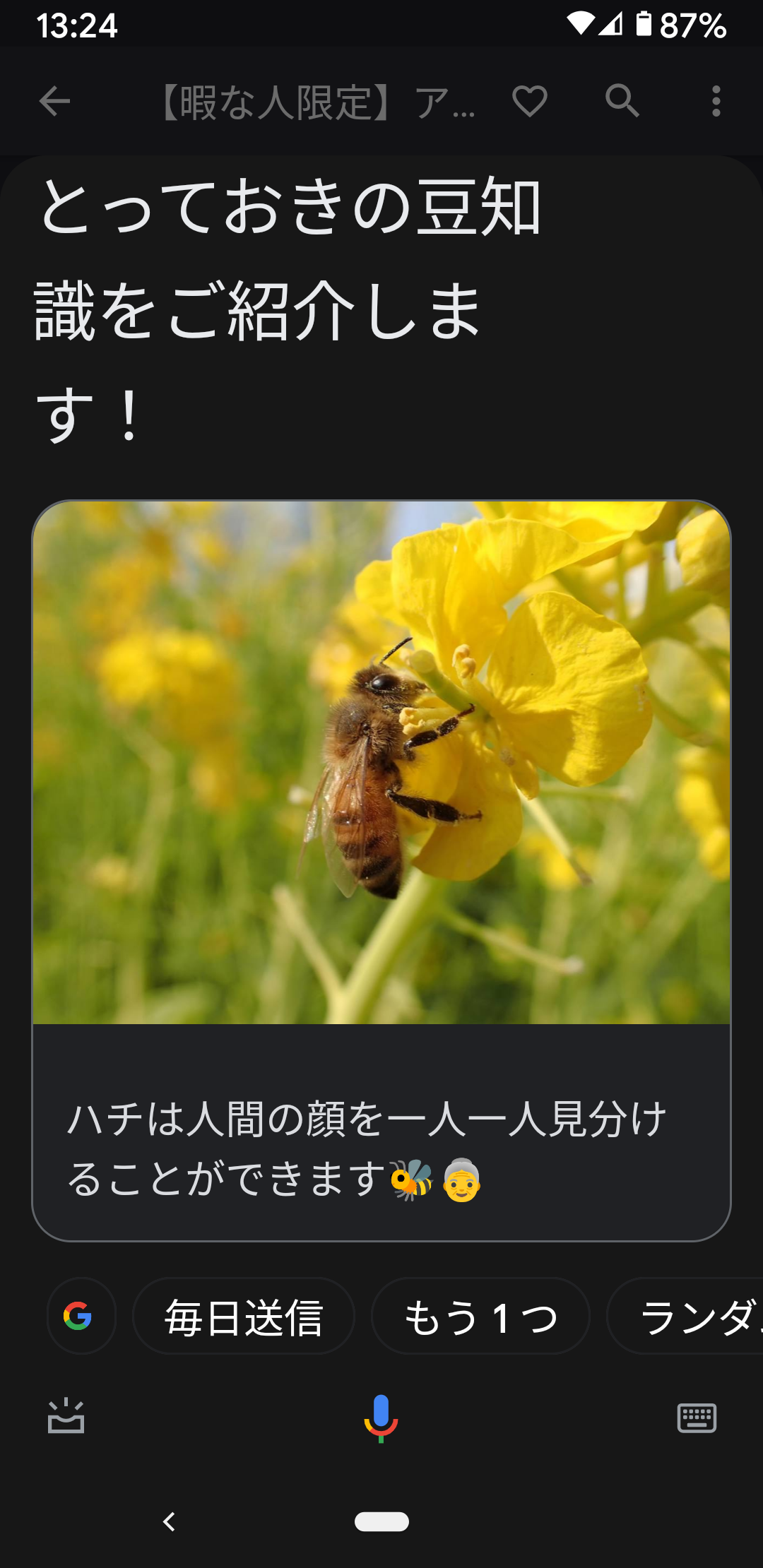 【暇な人限定】アレクサかGoogleになんか話してと言ったらなんて返事きたか書き込むトピ