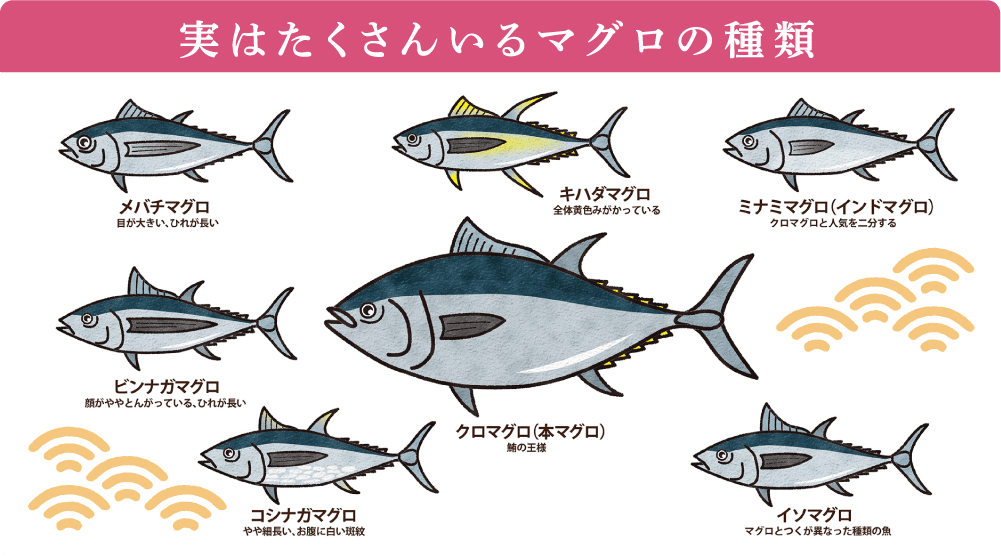 コロナワクチンほとんど副反応なかった人
