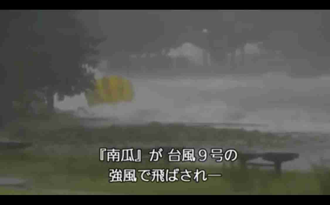 瀬戸内海の島が好きな方!