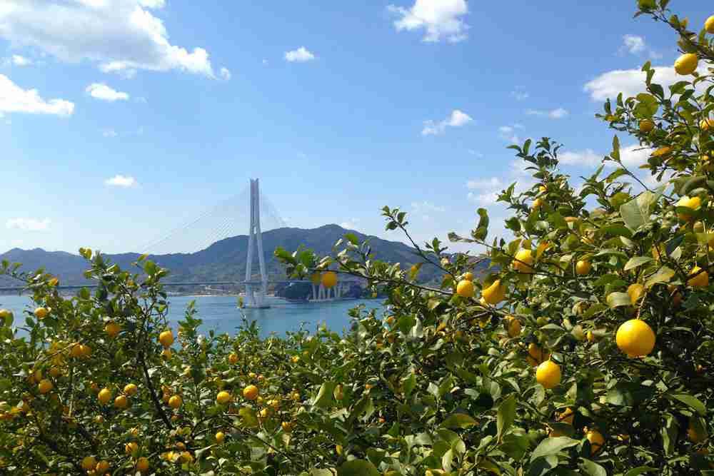 瀬戸内海の島が好きな方!