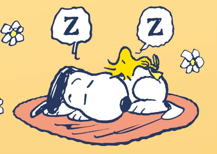 昼過ぎ〜夕方にかけての眠気