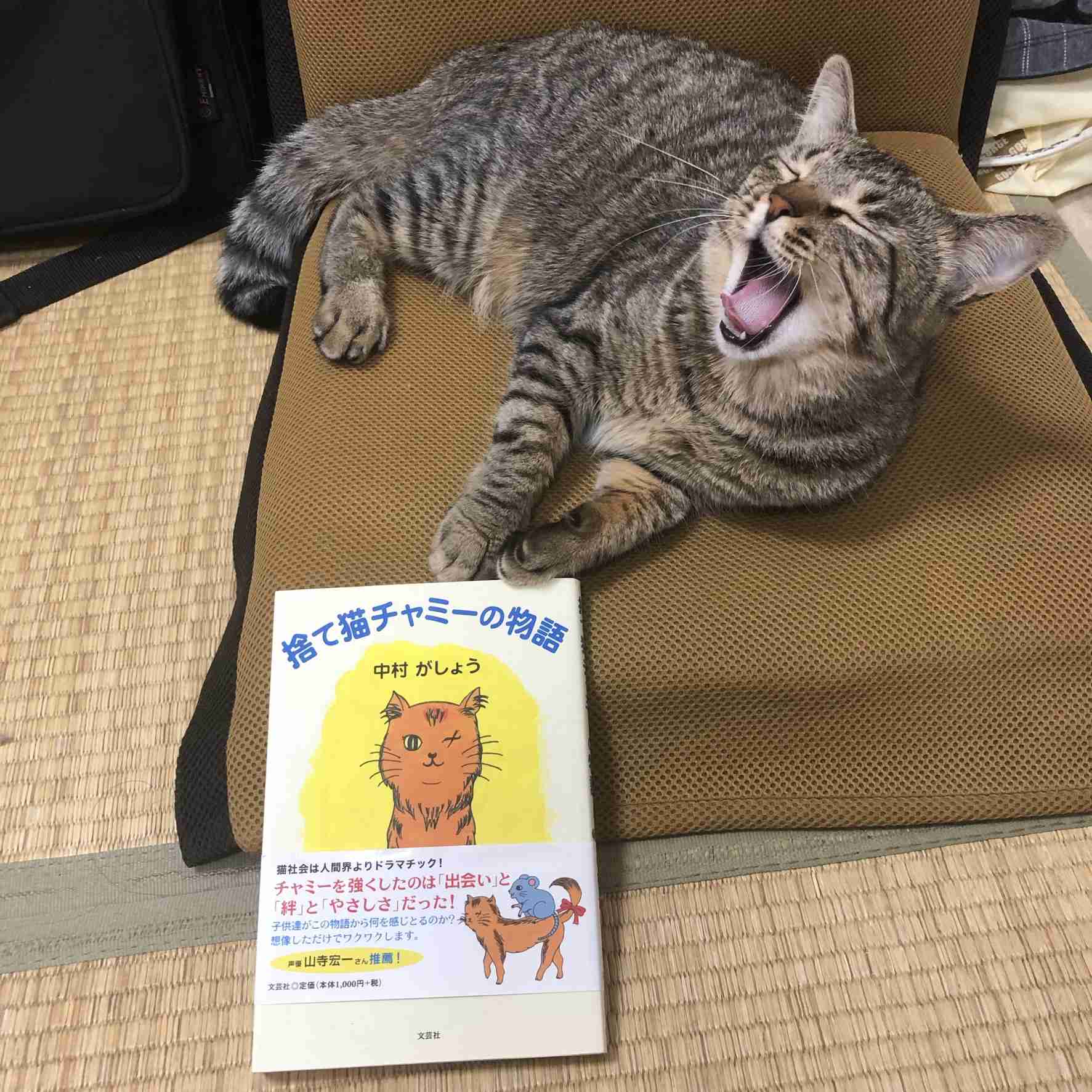 自分家のペットと同じ名前がいたらプラスを押すトピ Part3