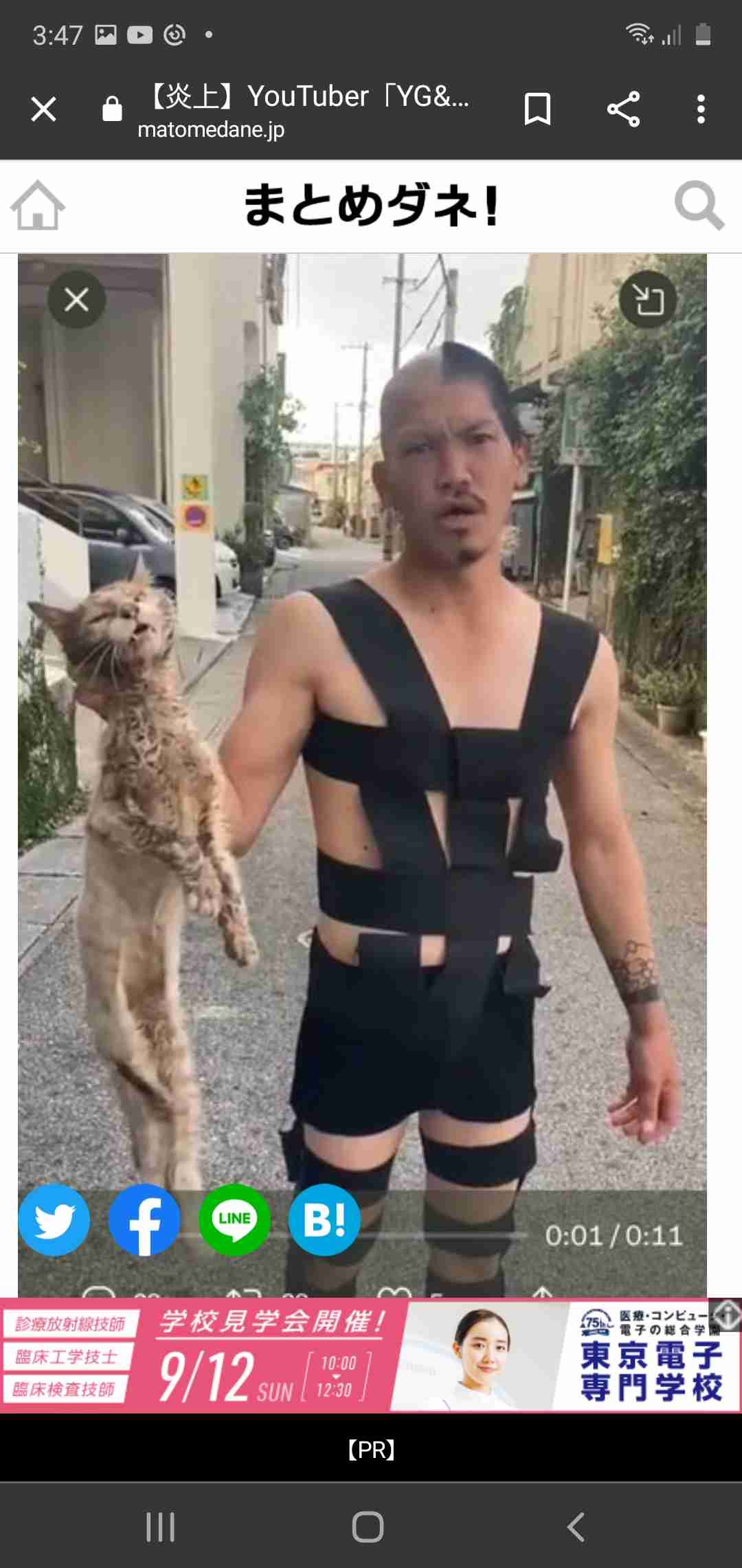 虐待動画の猫、保護されず「YouTuber」の手に戻る…弁護士は「警察の対応」も問題視