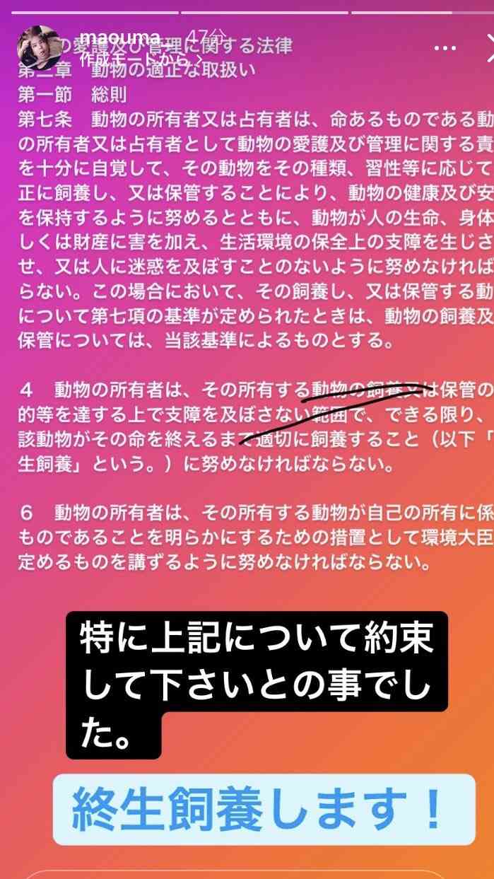 虐待動画の猫、保護されず「YouTuber」の手に戻る…弁護士は「警察の対応」も問題視