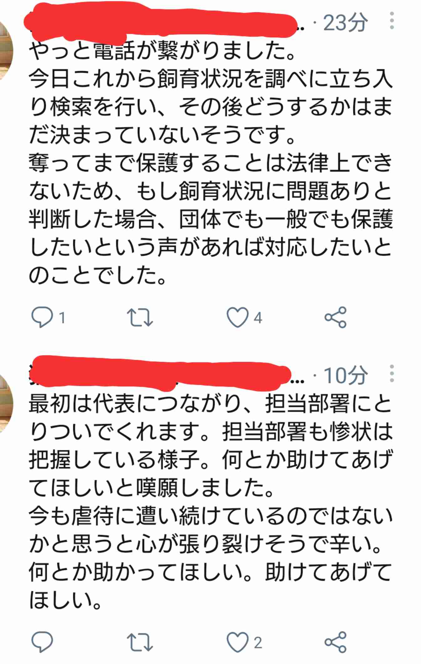虐待動画の猫、保護されず「YouTuber」の手に戻る…弁護士は「警察の対応」も問題視