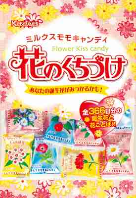 おばあちゃんの家にありがちなお菓子