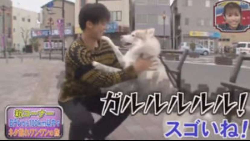 芸能人の性格が垣間見える画像 part3