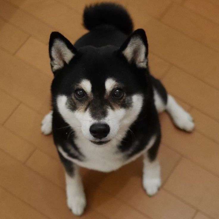 【有名人】オーラを隠しきれてないと思う画像を貼るトピ