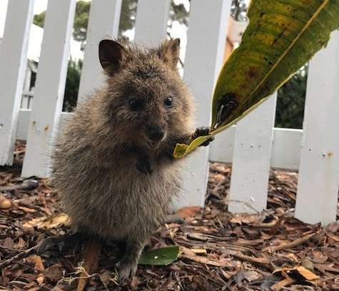 どうすればコロナを収束させられると思いますか？