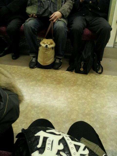 電車で隣の人が脚広げてこちらに干渉してくるのを撃退する方法