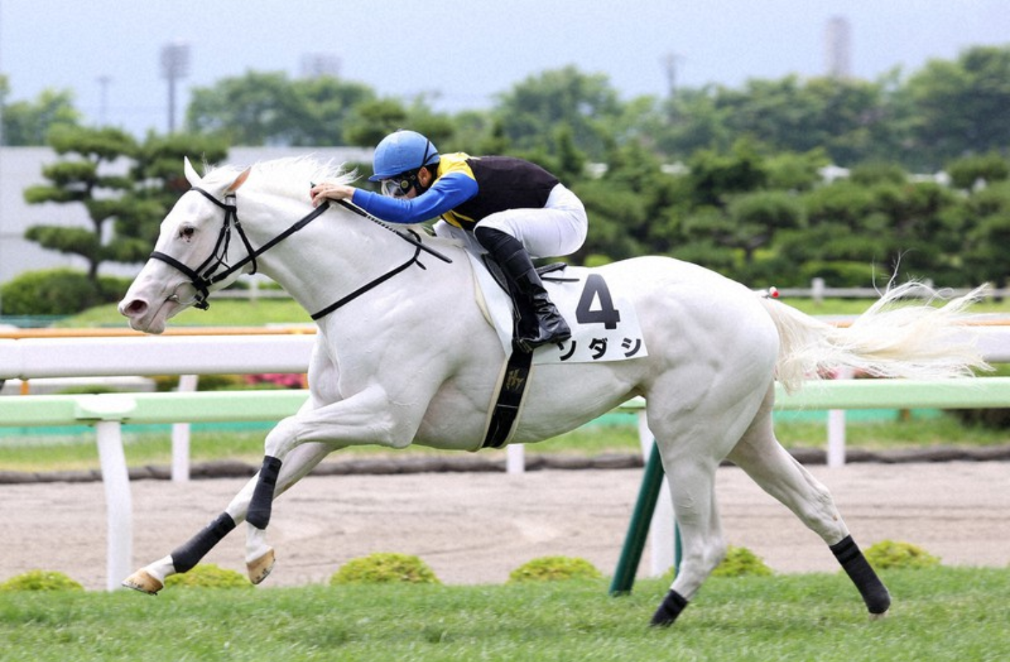 上手な騎手 好きな騎手 競馬