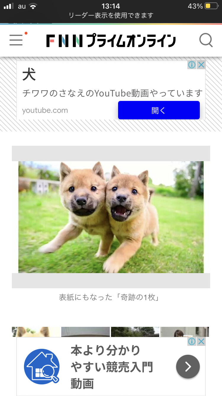 手持ちの画像で一番戦闘力の高そうな画像を貼るトピ