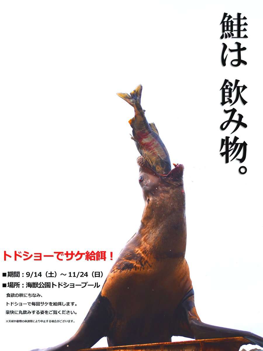 手持ちの画像で一番戦闘力の高そうな画像を貼るトピ