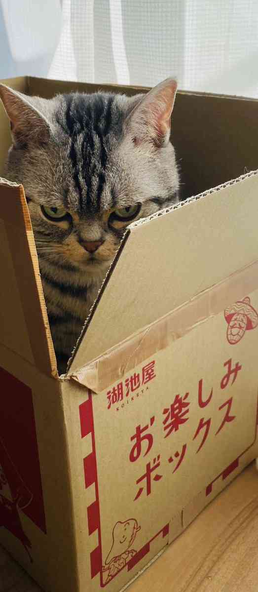 手持ちの画像で一番戦闘力の高そうな画像を貼るトピ