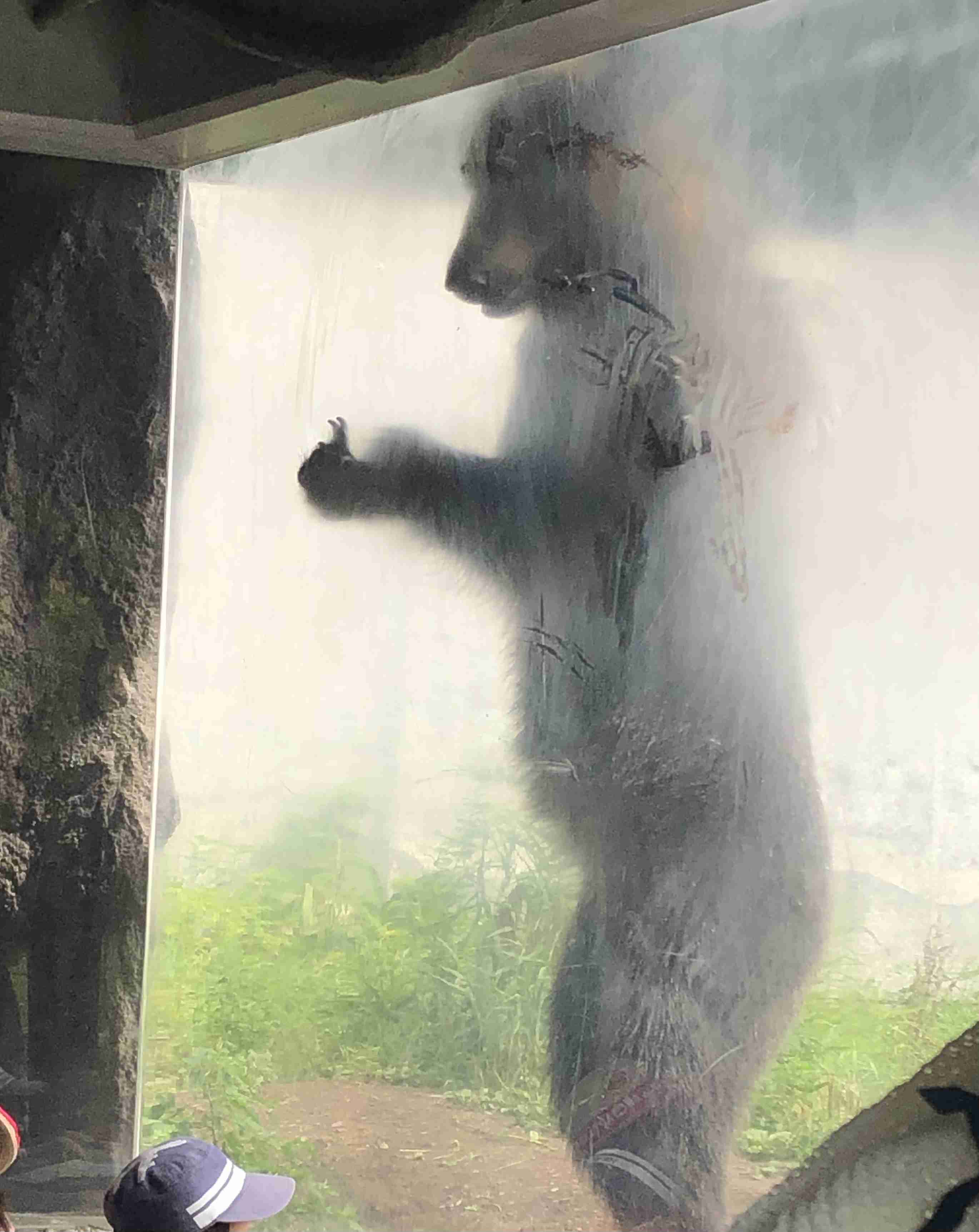 手持ちの画像で一番戦闘力の高そうな画像を貼るトピ