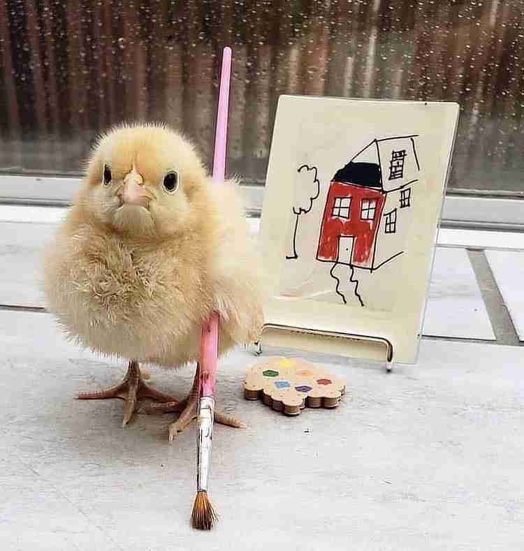手持ちの画像で一番戦闘力の高そうな画像を貼るトピ