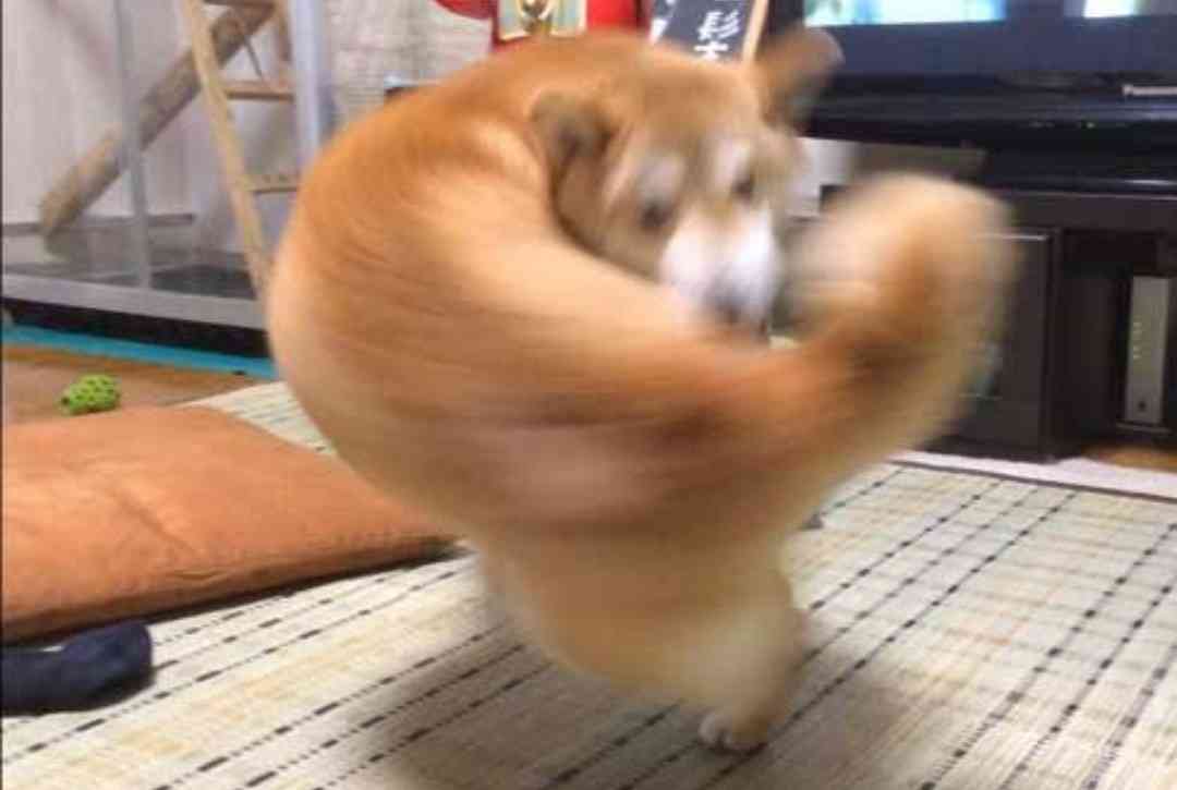 手持ちの画像で一番戦闘力の高そうな画像を貼るトピ