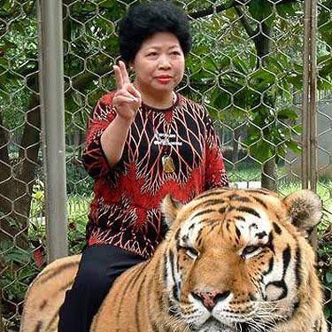 手持ちの画像で一番戦闘力の高そうな画像を貼るトピ