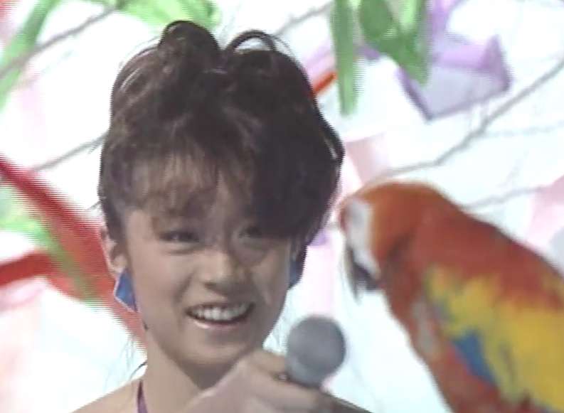 いろんな中森明菜さんが見たいPart2