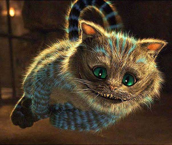 仕事中、愛猫に異変が…?その風貌が完全に「チェシャ猫」と話題に