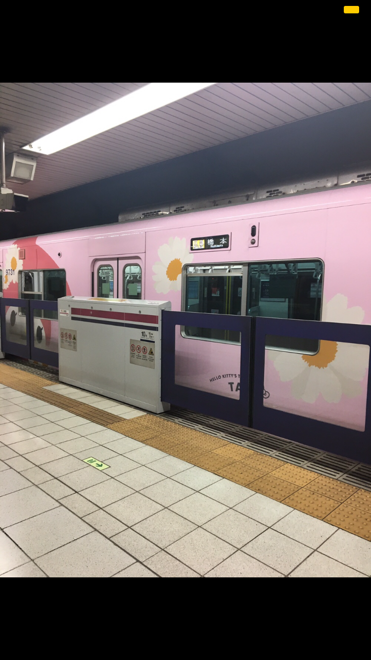 ラッピング電車が好き!