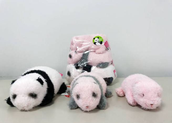 上野のパンダ、シャンシャンが展示場のアクリル板を破壊　公開を一時中断