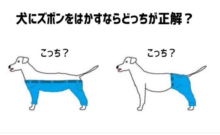これって結局どっちなの？？