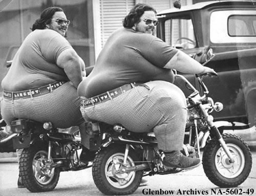 今日は俳句の日【8/19】