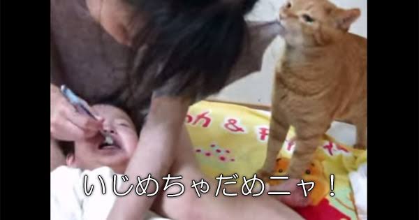 パートの退職理由