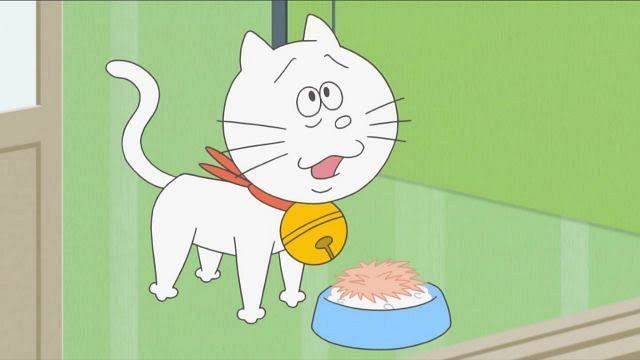 猫の可愛さを真剣に語りたい