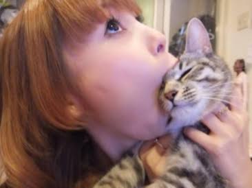猫の可愛さを真剣に語りたい