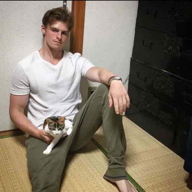 猫の可愛さを真剣に語りたい