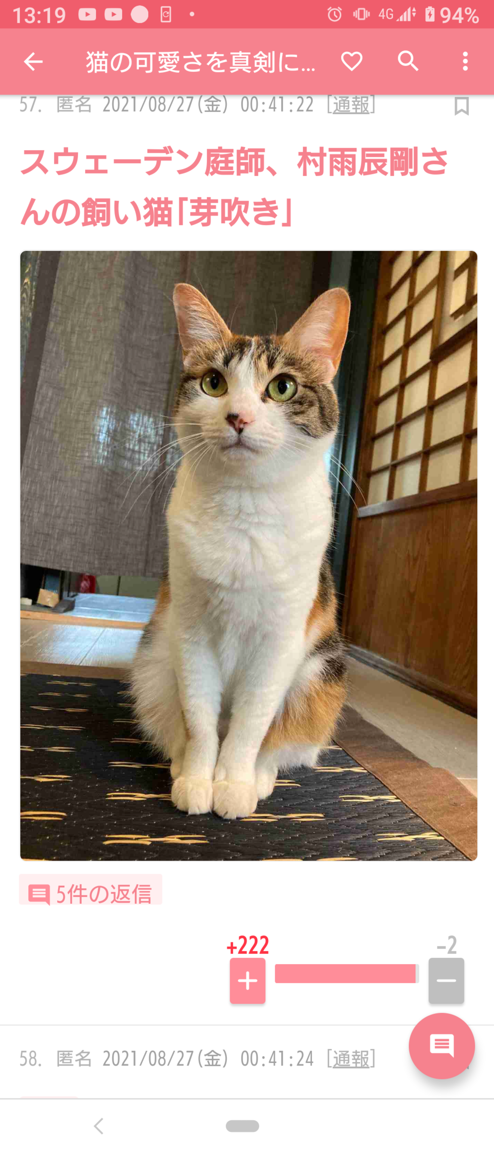 猫の可愛さを真剣に語りたい
