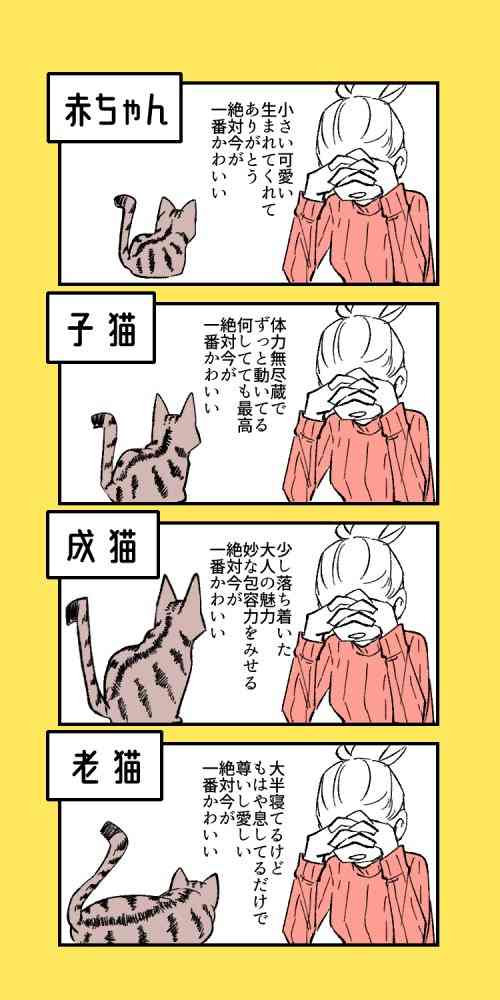 猫の可愛さを真剣に語りたい