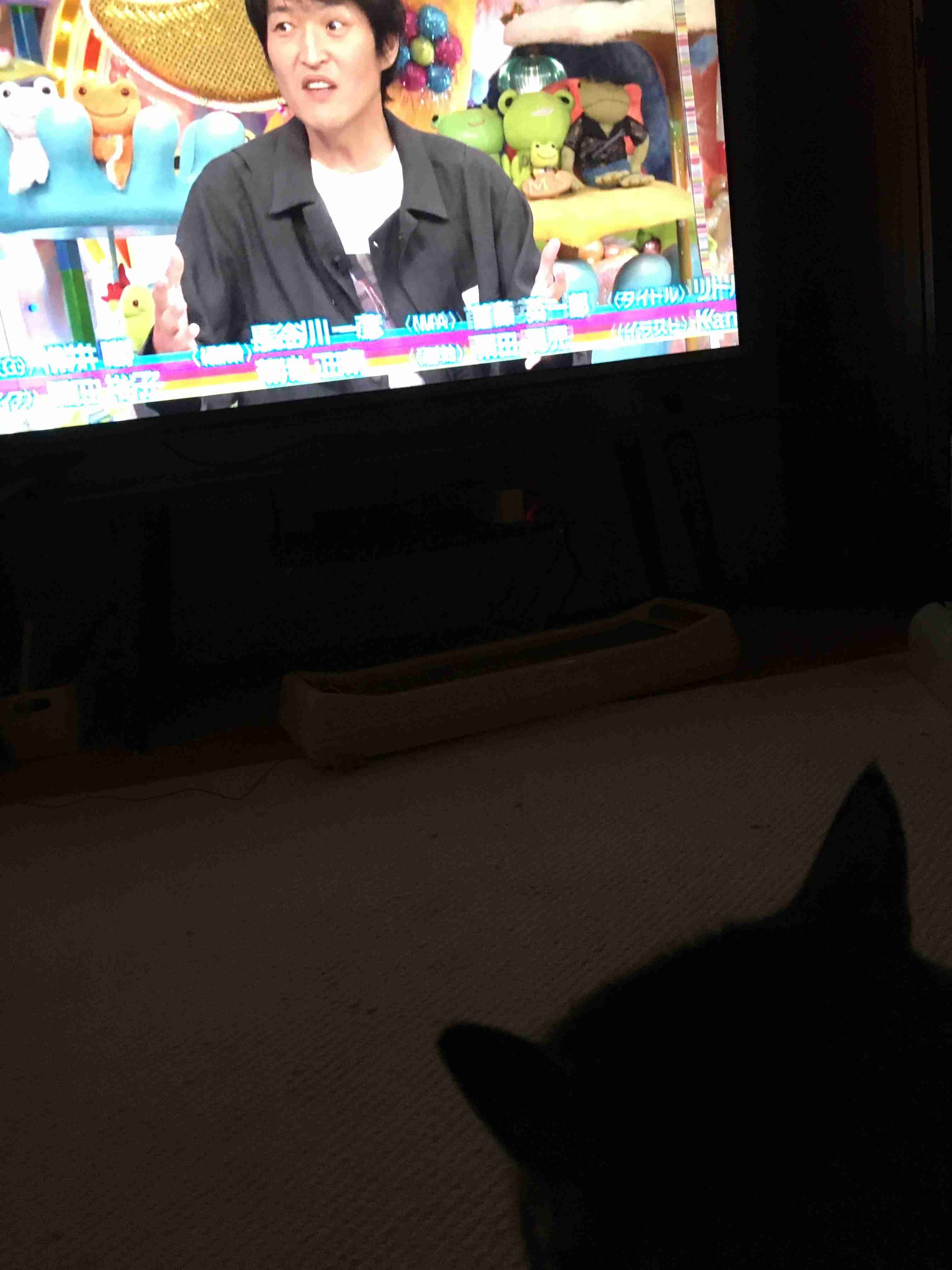 猫の可愛さを真剣に語りたい