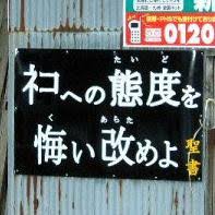 猫の可愛さを真剣に語りたい